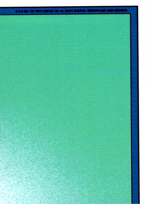 3b - Choke-a-Lot Chip